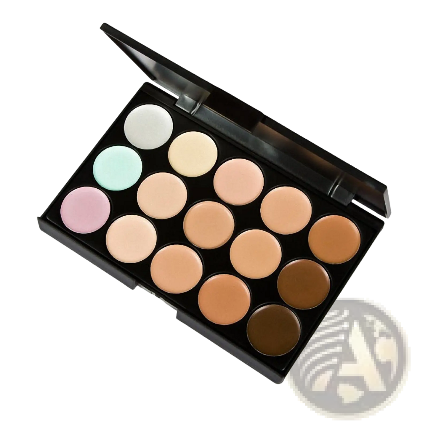 15 Color Concealer Palette Professional Makeup Kit